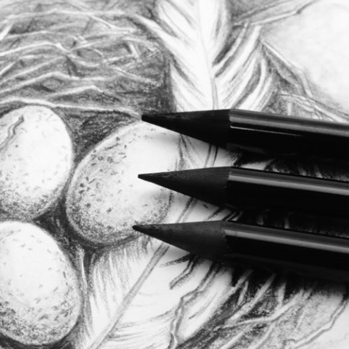 Woodless Charcoal Pencils 3pce