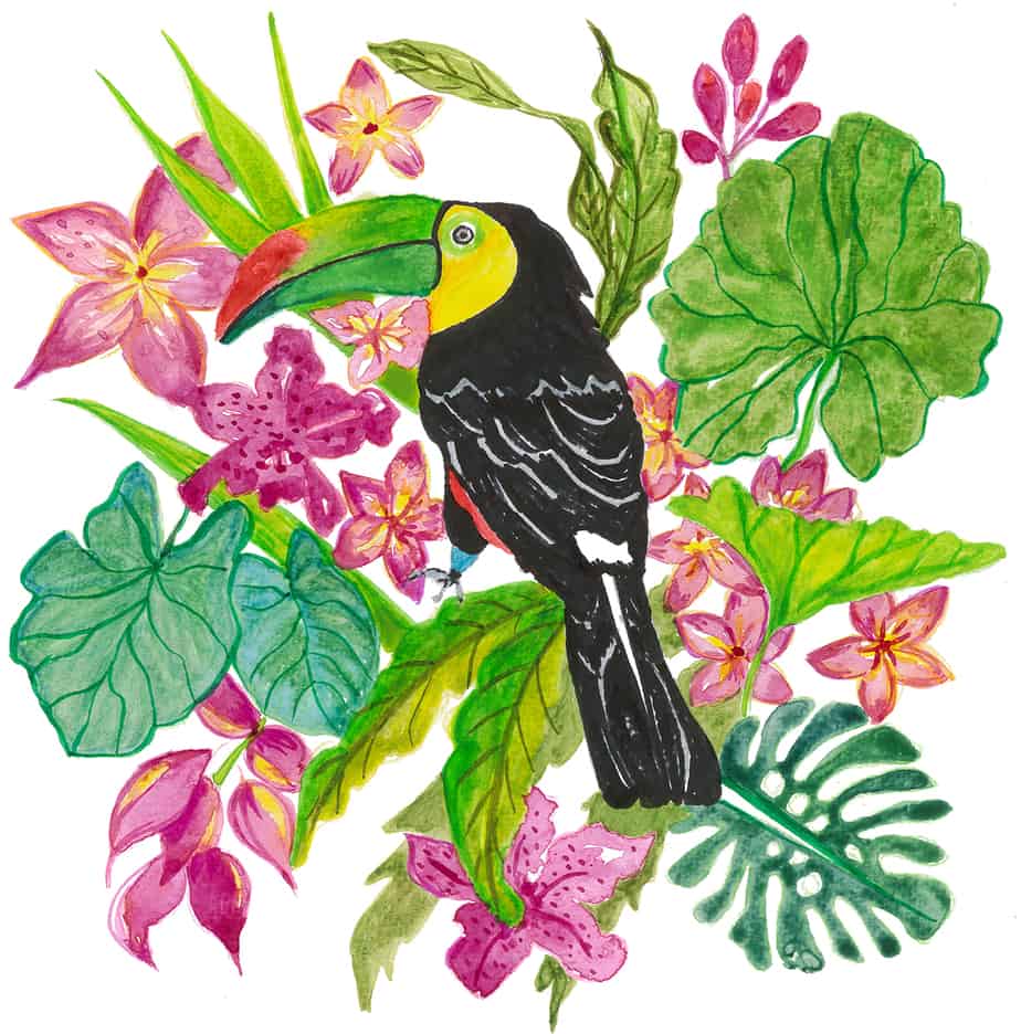 Tropical Coloring Book (Downloadable)