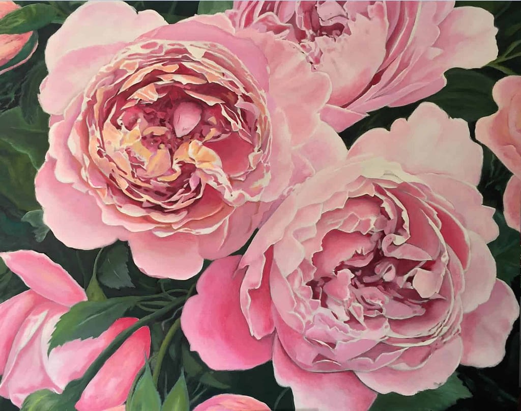 David Austin Roses Flower Painting by Tracy Saywell