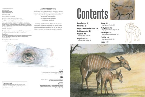 Drawing and Painting Wild Animals Contents