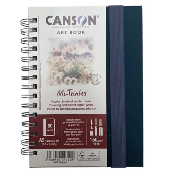 Canson Mi-Teintes Art Book
